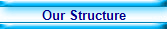 Our Structure