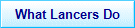 what lancers do