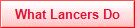 what lancers do