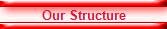 Our Structure