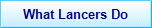 what lancers do